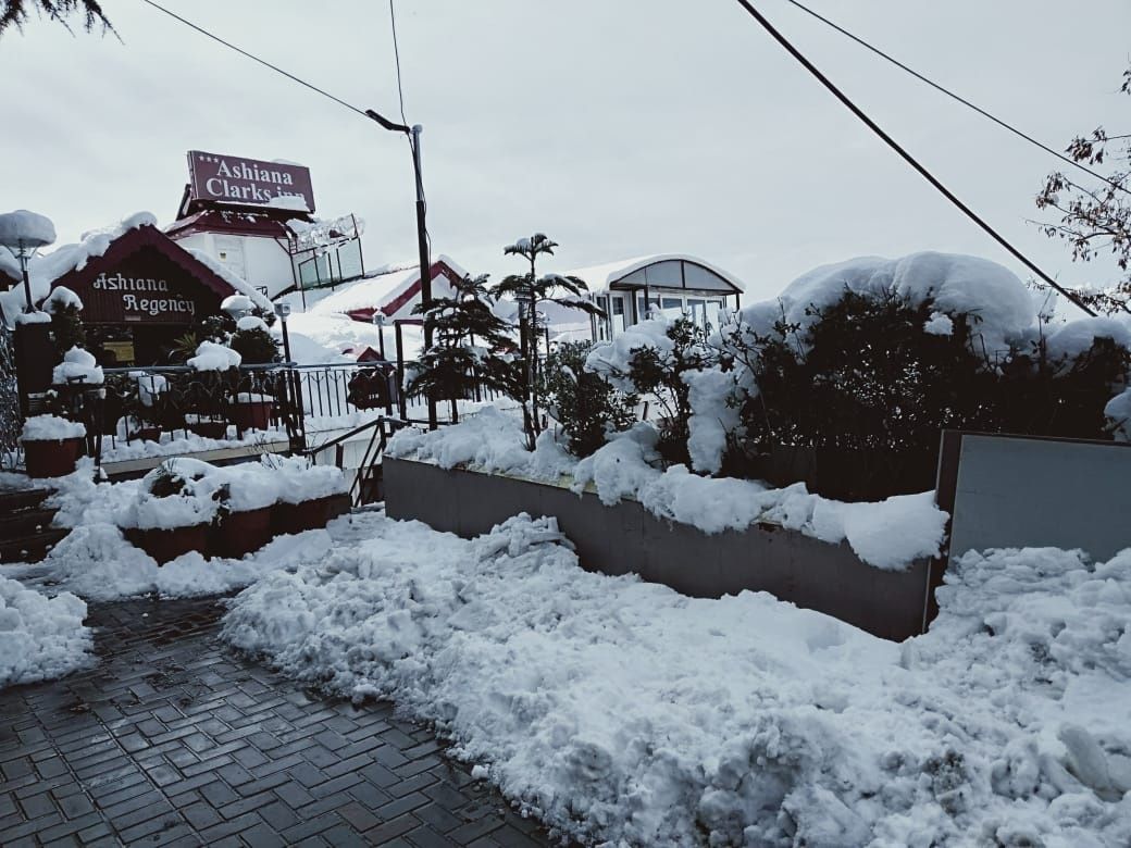 undefined Ashiana Clarks Inn Shimla 8