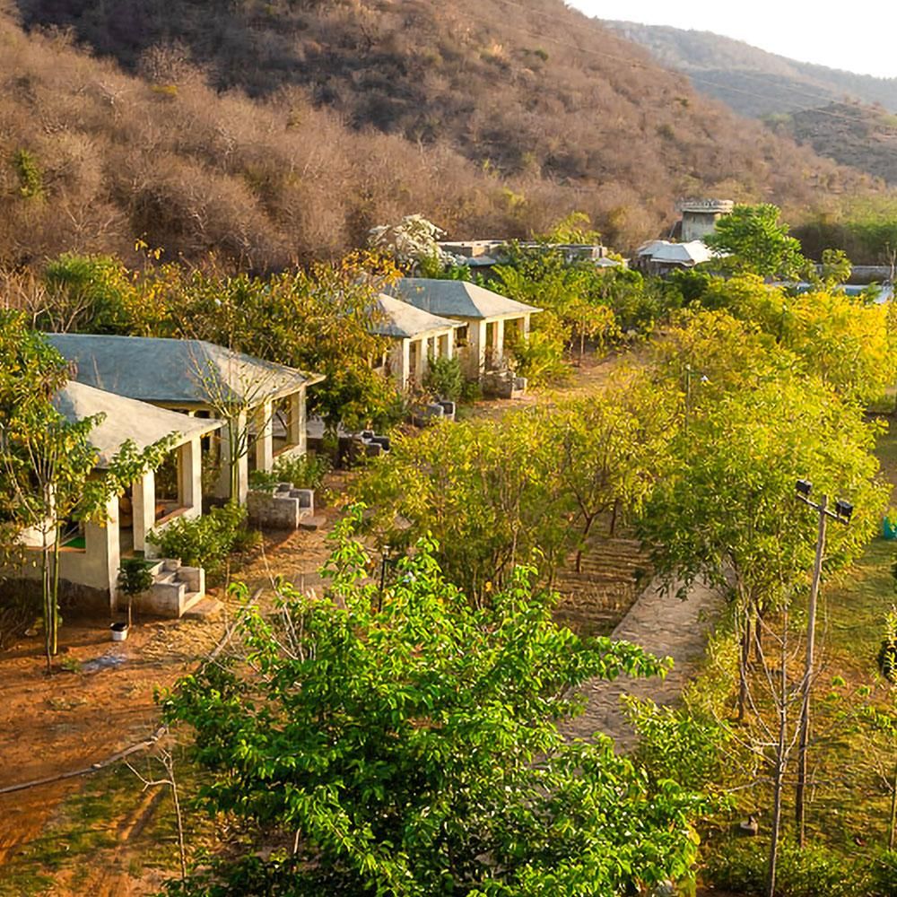 Beyond Stay Jungle Camp Sariska Deluxe cottages 6