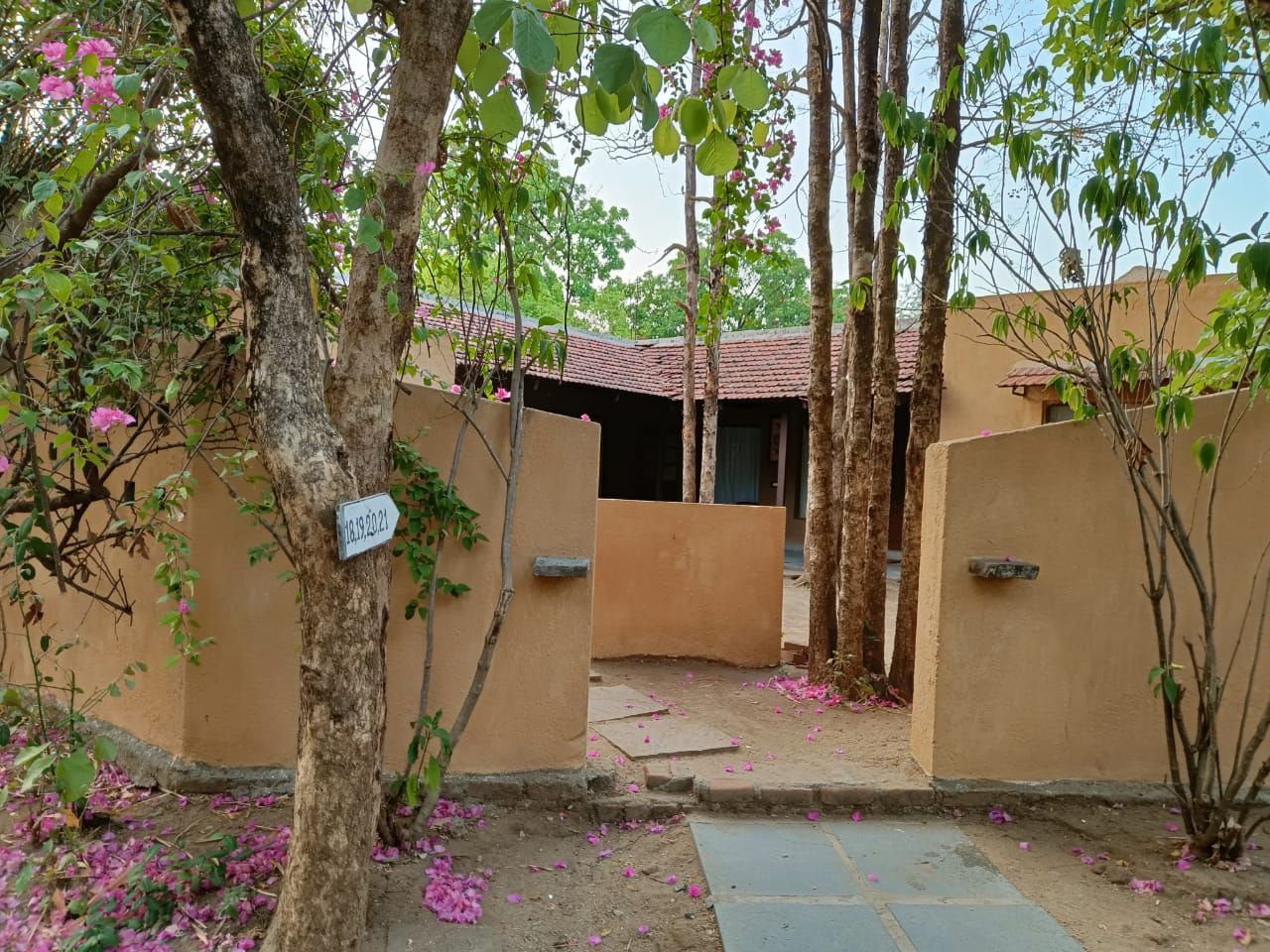 undefined Mahua Vann Pench 5