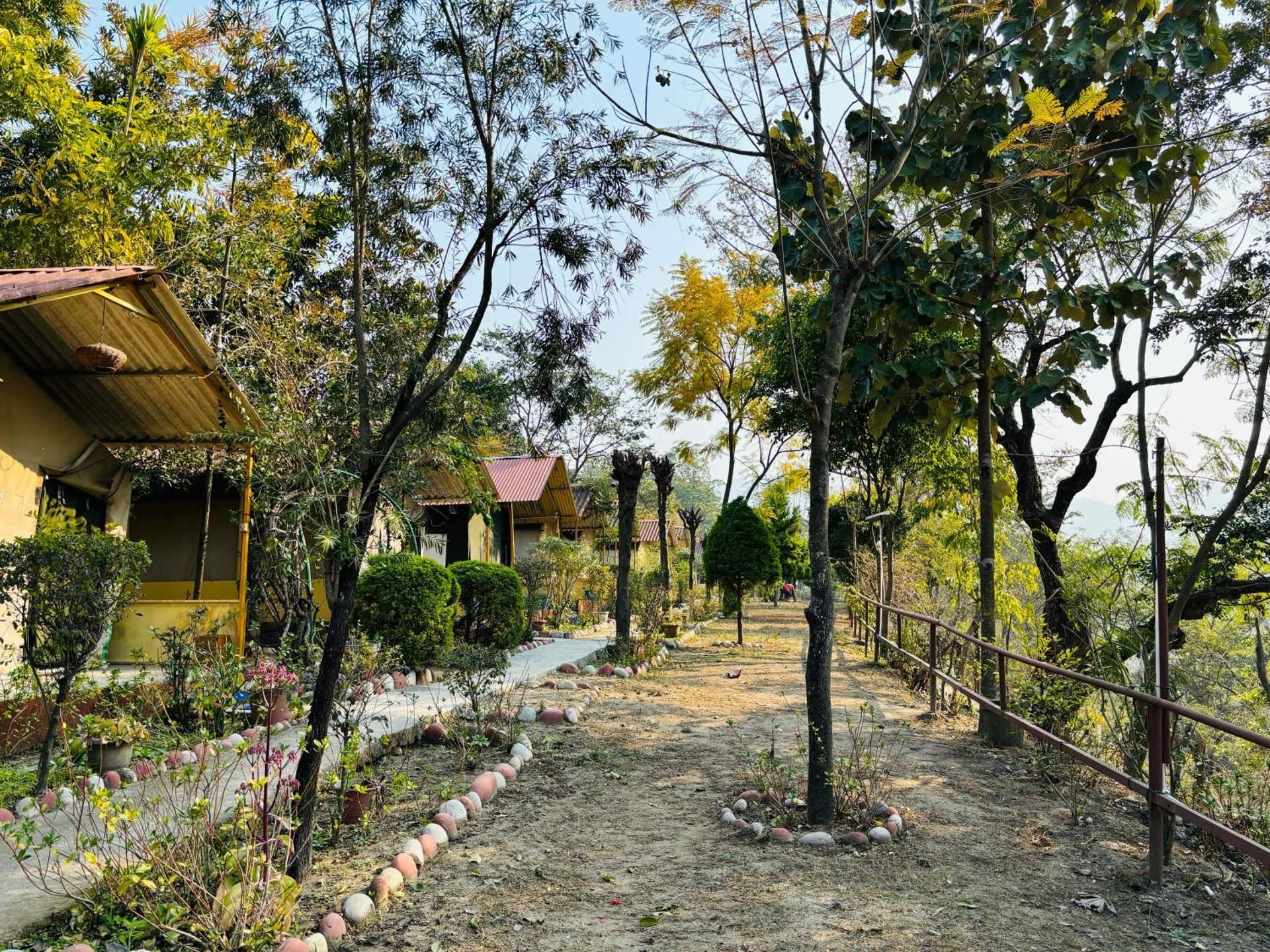 View