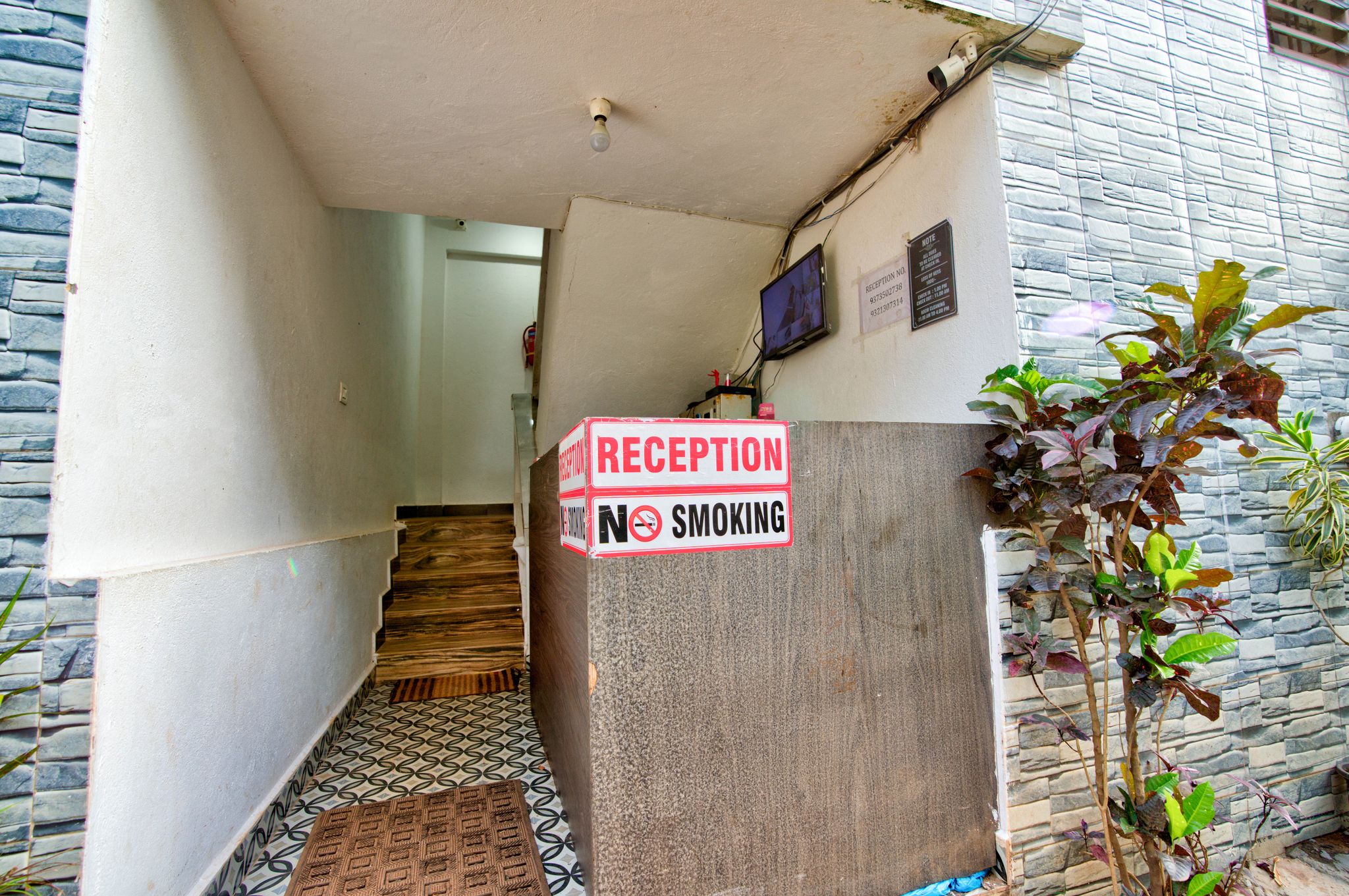 Primary Image