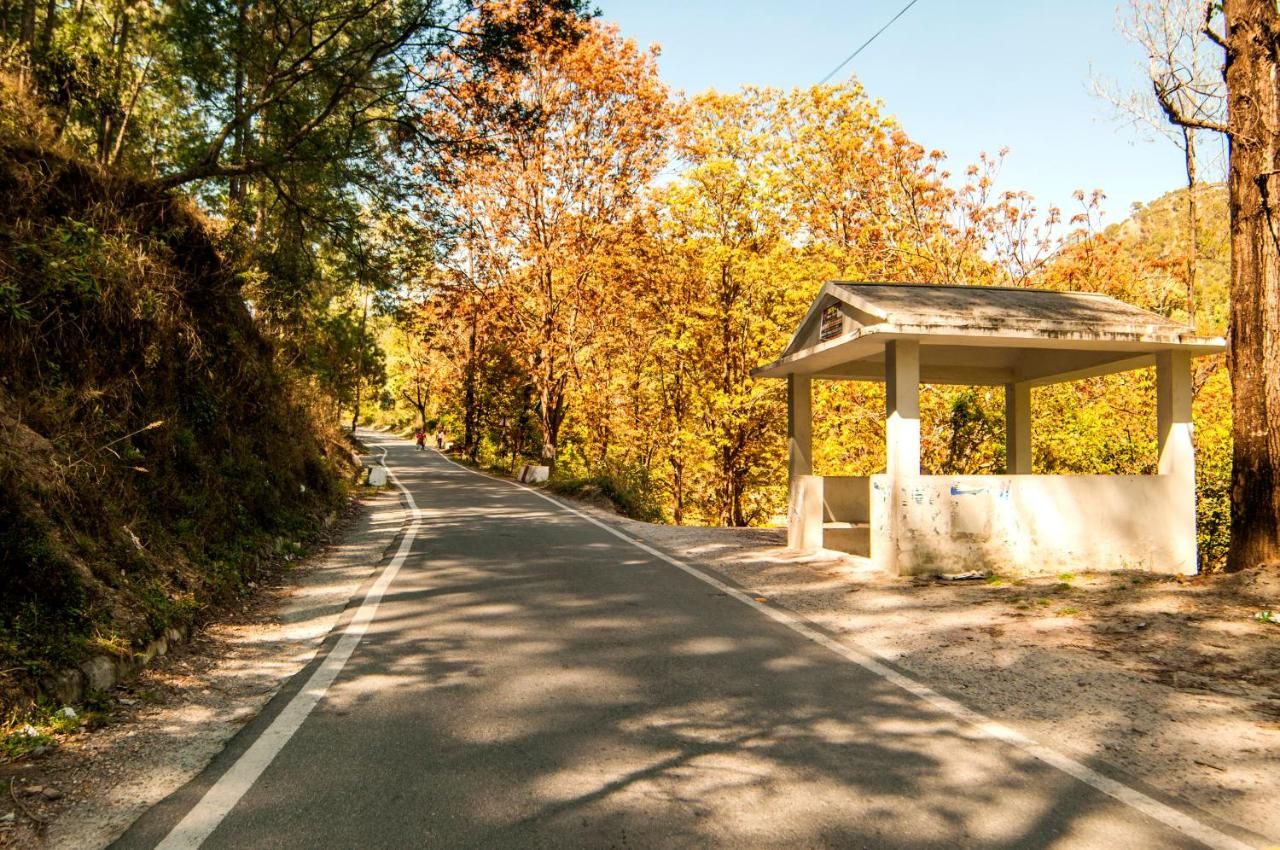 undefined DreamCatcher By Samyati Hotels and Resorts 6