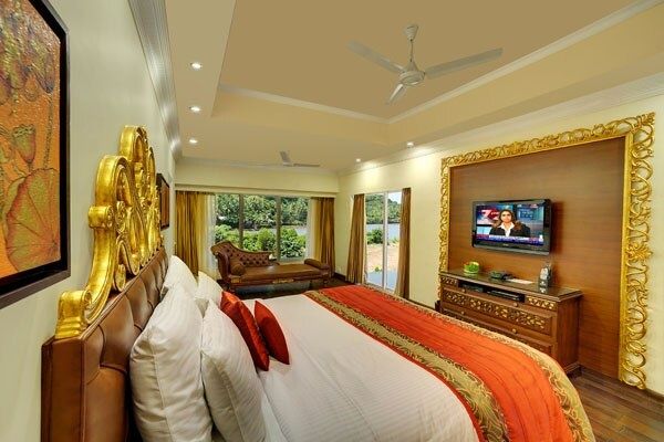 image_3979915_bc724790-efaa-463f-af3c-47cf4fff107d_proc