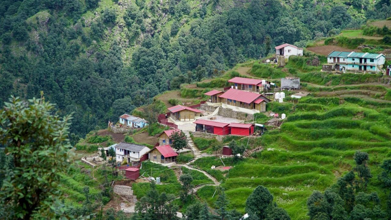 undefined Glamwood Resort 2