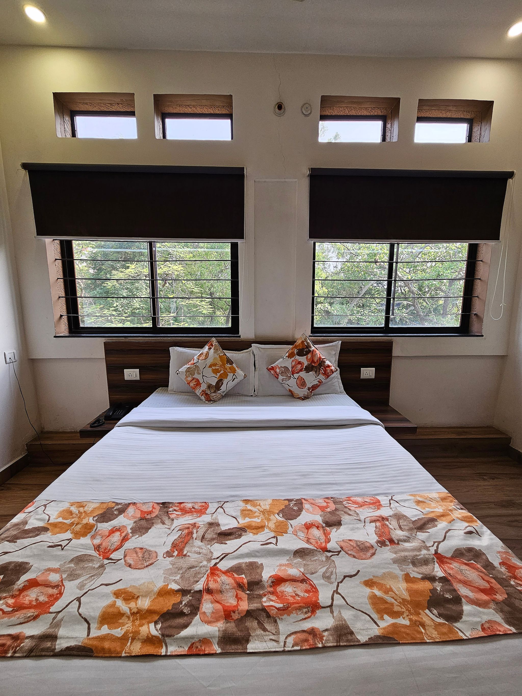 Hotel ParkView Deluxe Double Room 10