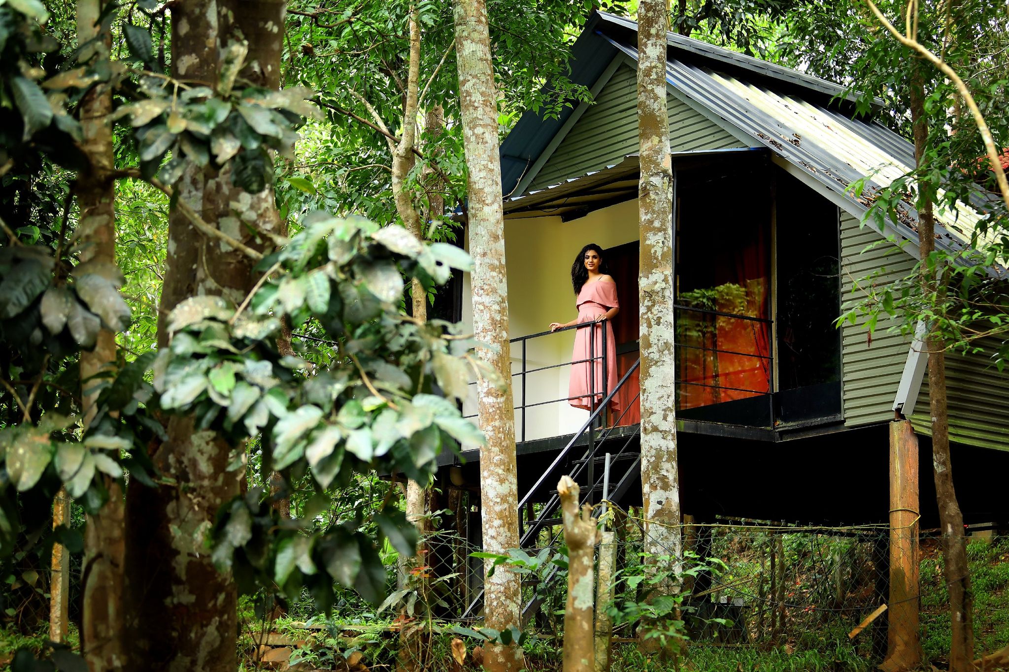 undefined Jungle Beats Resorts 10