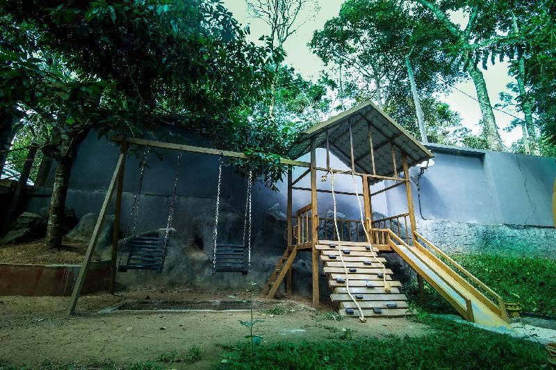 undefined Jungle Beats Resorts 6