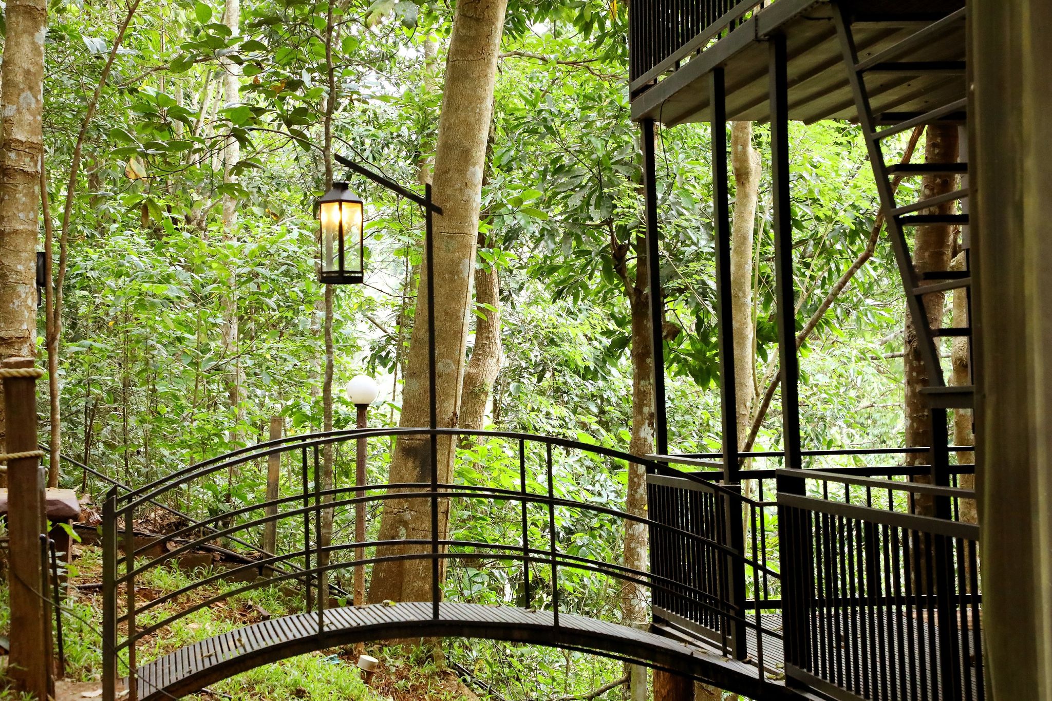 undefined Jungle Beats Resorts 9