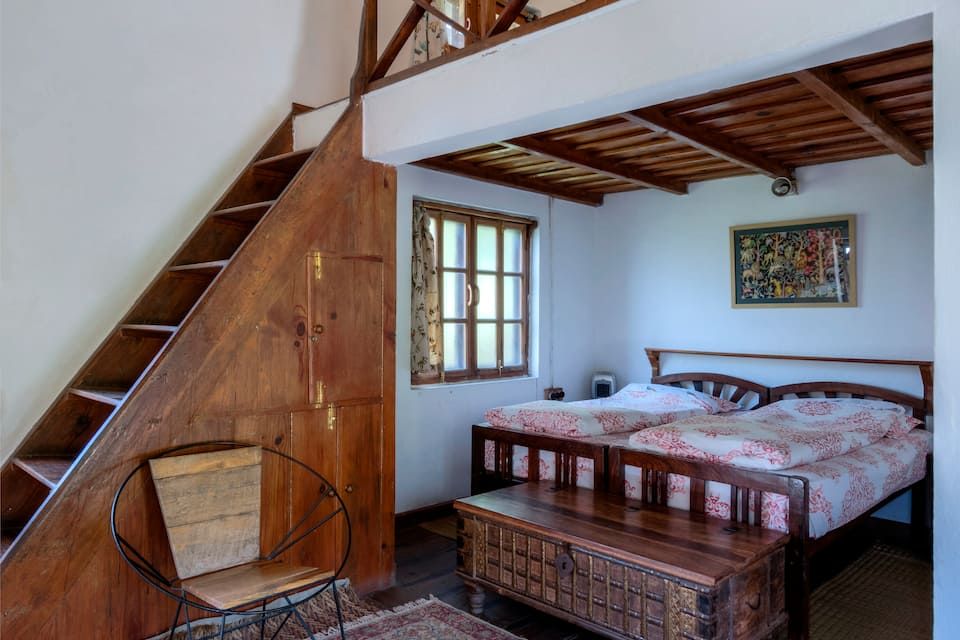 Jungle_Lore_023_qiEixO