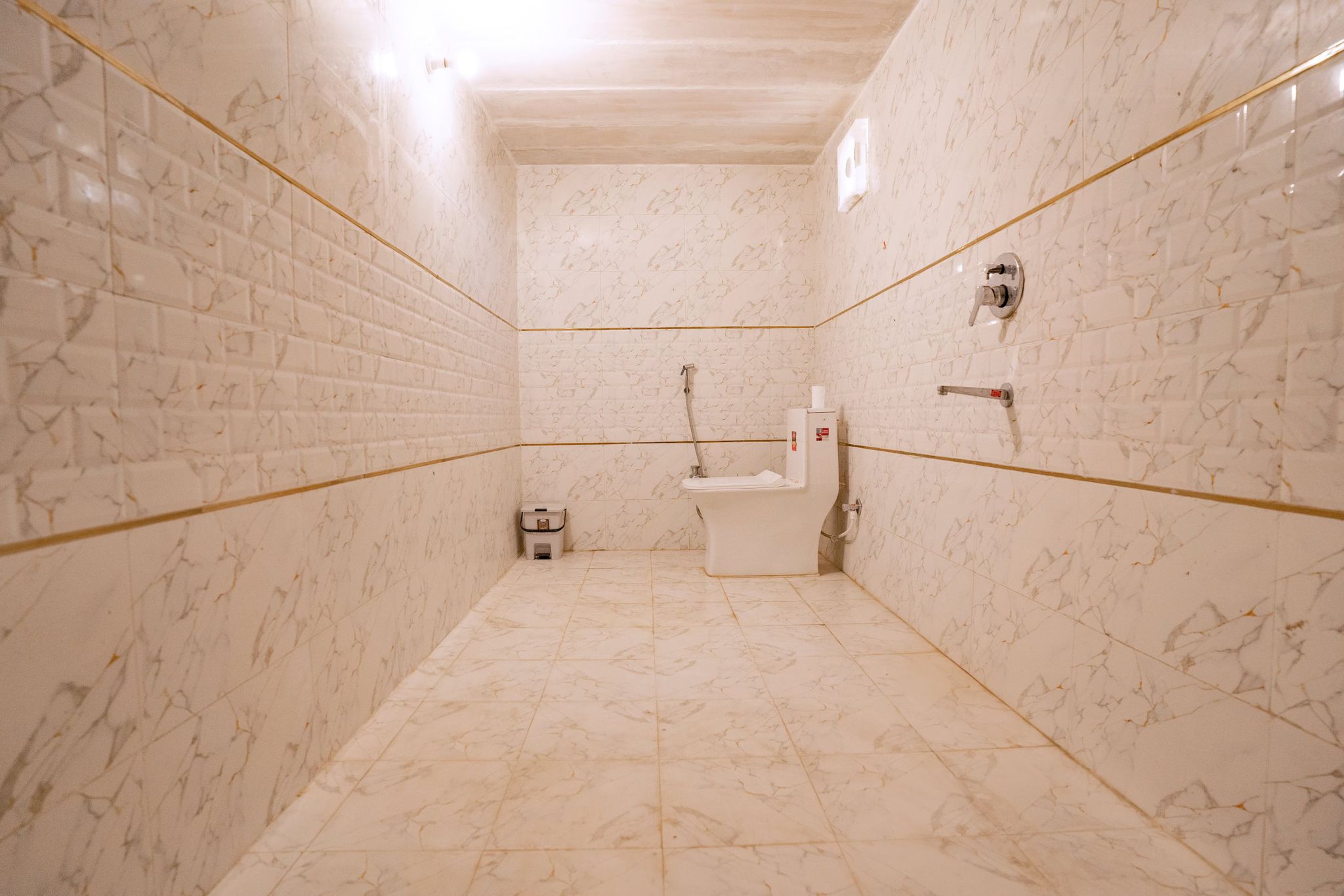 Royal AC Swiss Cottage with Free Camel Safari