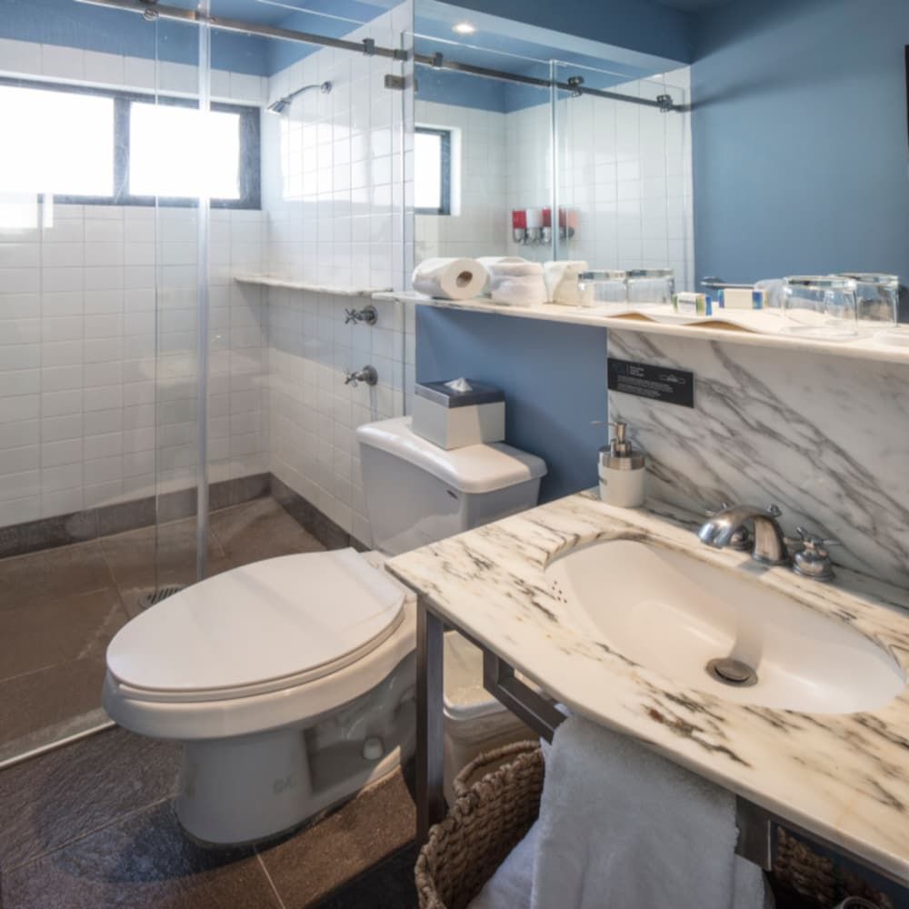 FlowSuites Polanco Executive Apartment, 1 Queen Bed 4