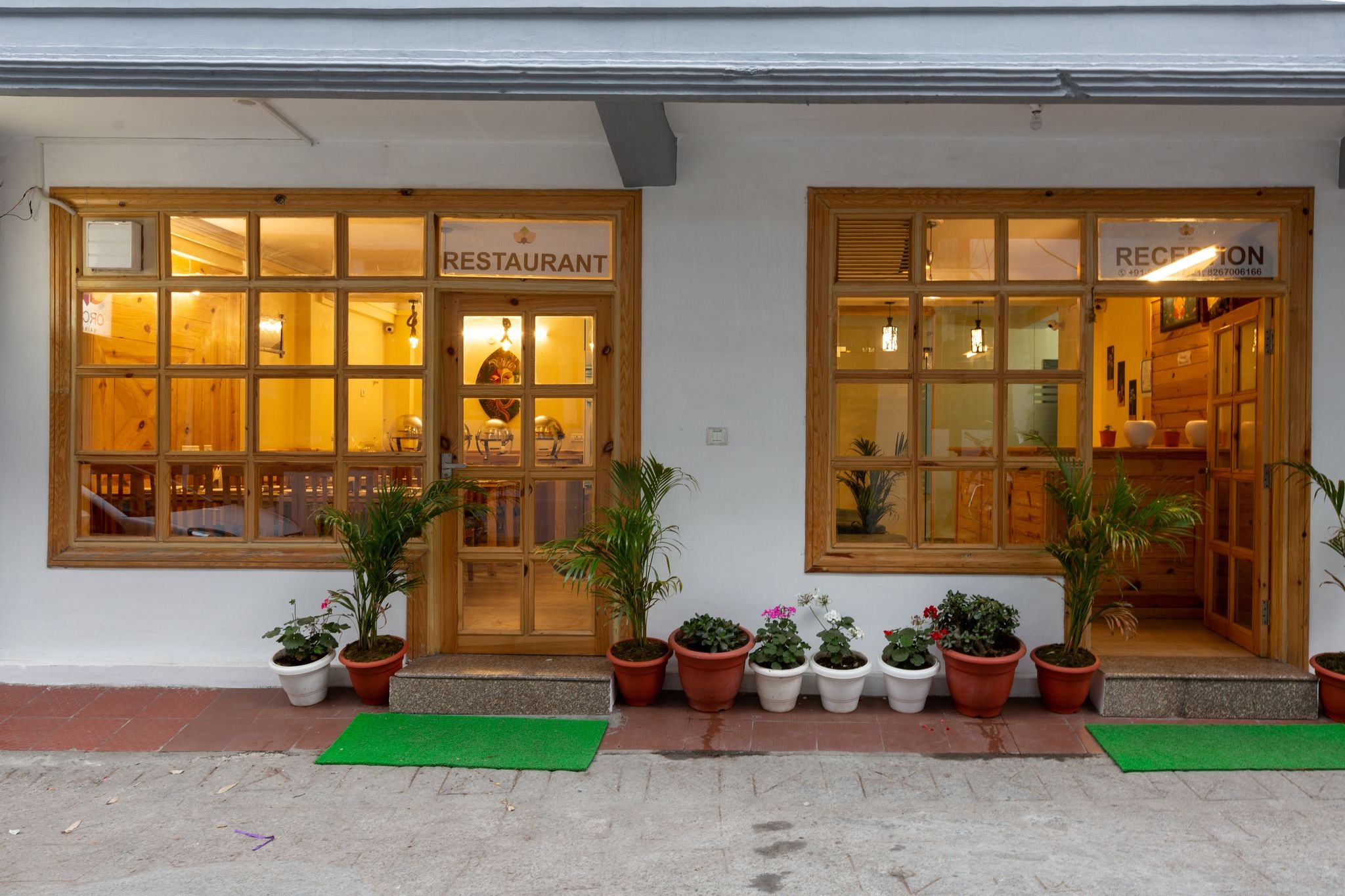 undefined Orchid Nainital 8