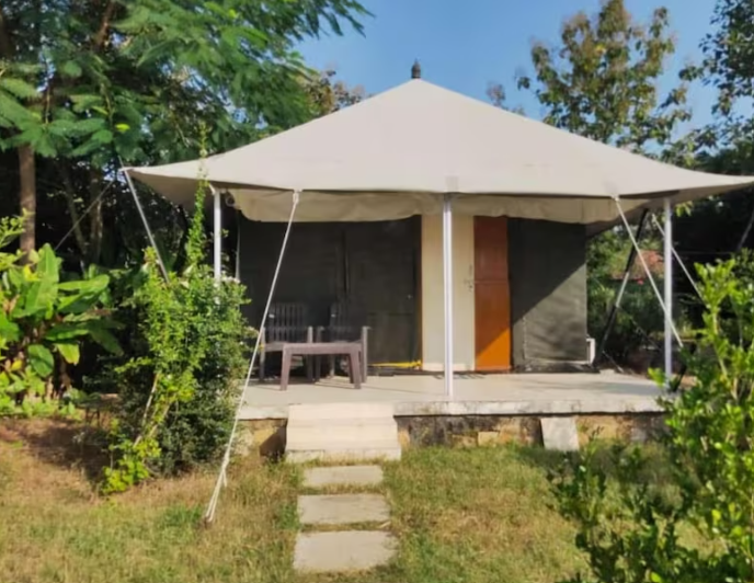 Tadoba Bodhivann jungle Camp Nature's Sprout 