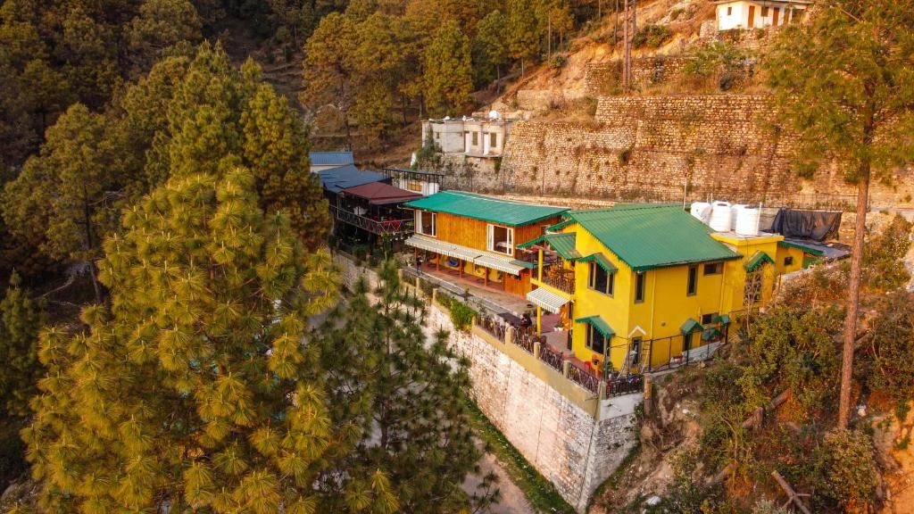undefined The Himalayan Living Whistling Pines 2