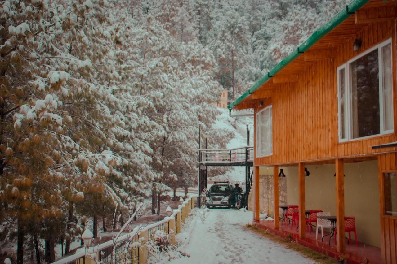 undefined The Himalayan Living Whistling Pines 6