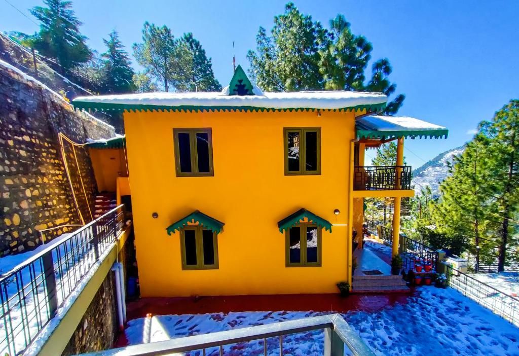 undefined The Himalayan Living Whistling Pines 7