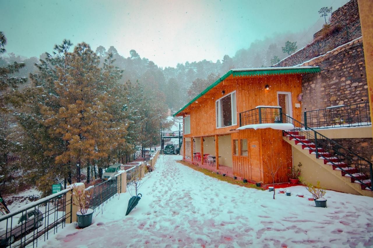 undefined The Himalayan Living Whistling Pines 9