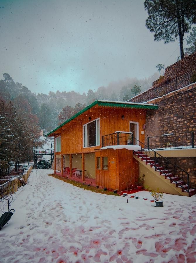 undefined The Himalayan Living Whistling Pines 8