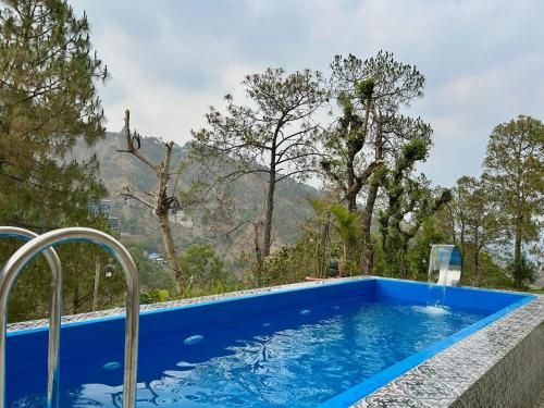 undefined The Lalitas Majestic Pine 4