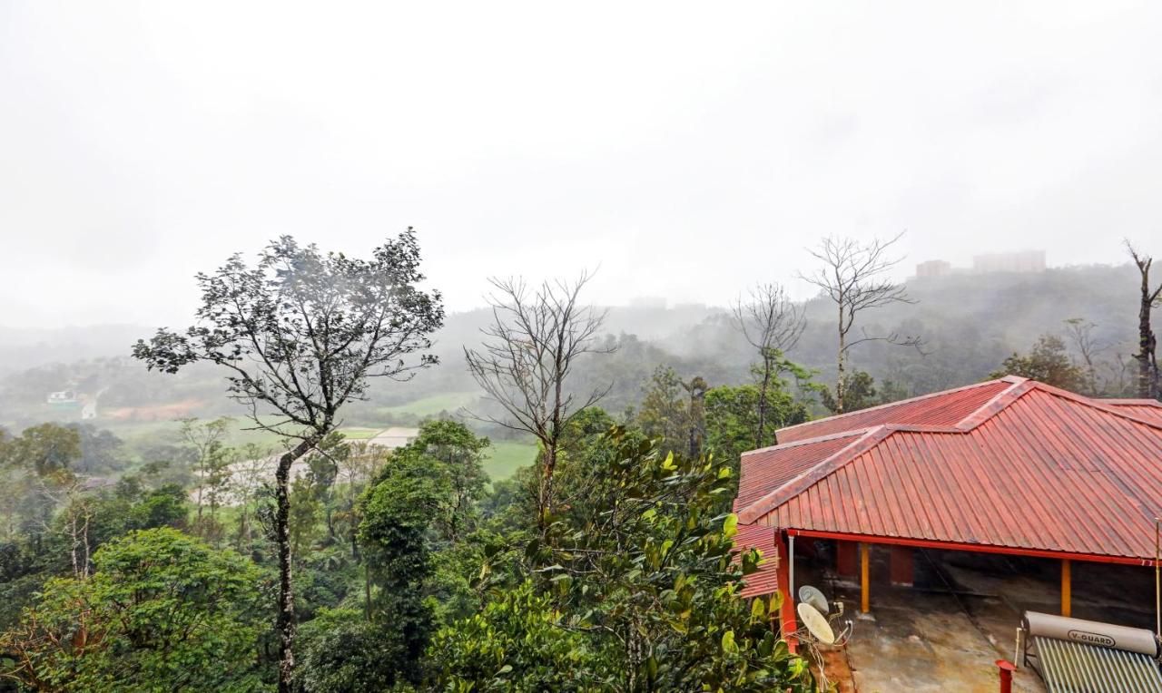 Hotel View