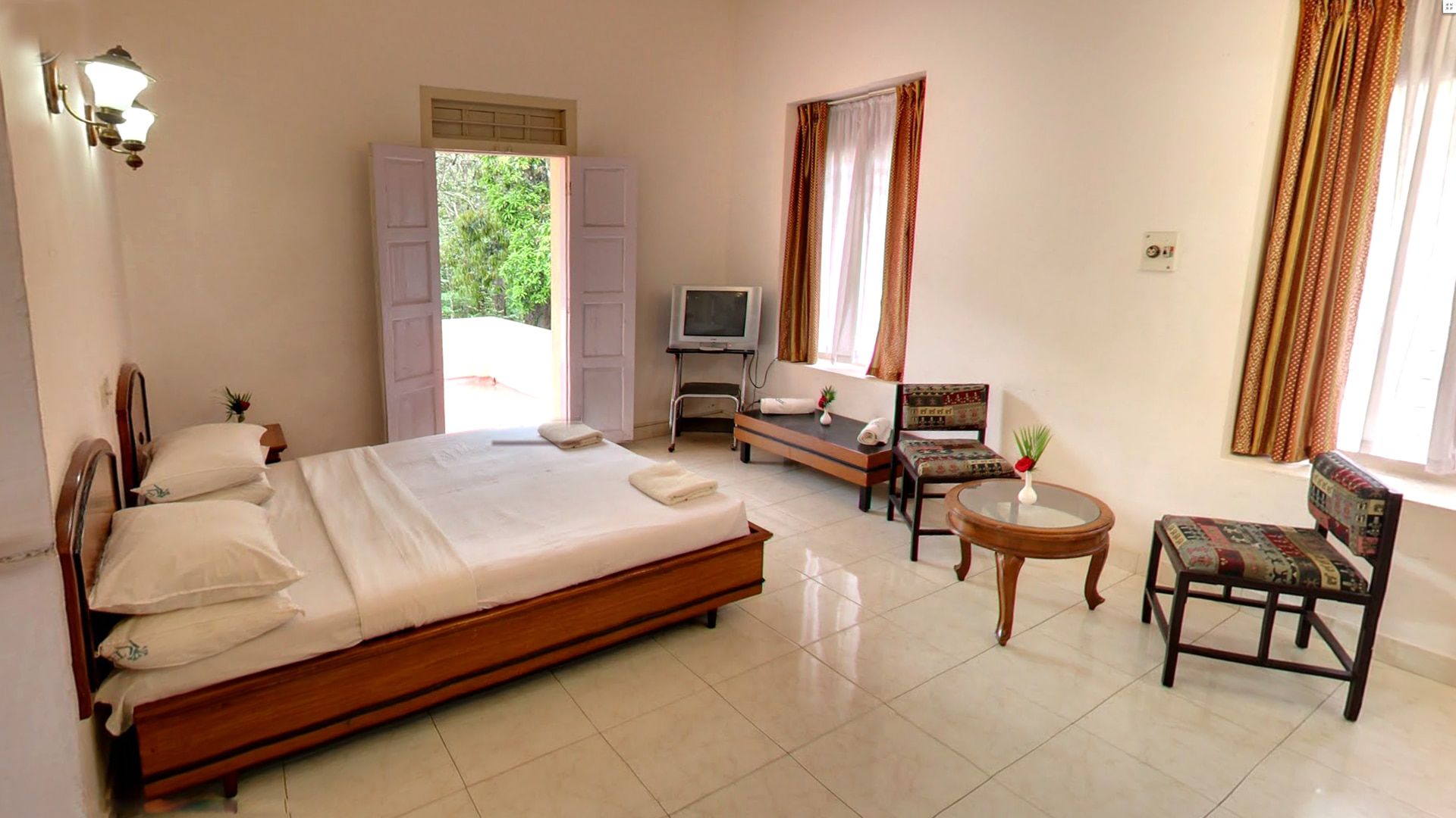 Jungle View Superior