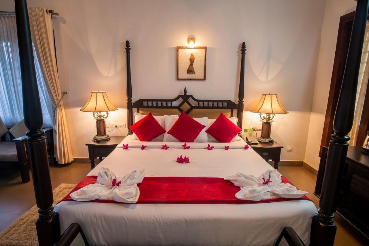 The Wild Planet Double Room 2
