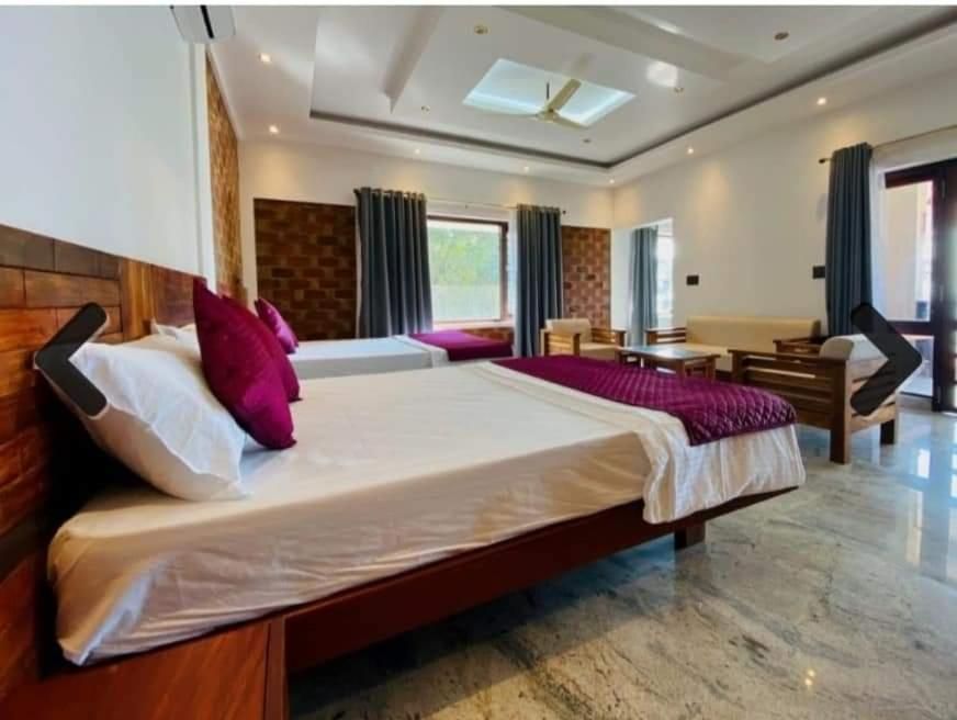 image_3981257_11d8e67d-5d98-4f11-9386-03d01b273fc6