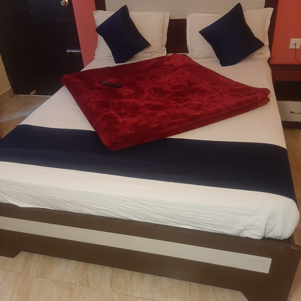 Golden Larch Comfort Executive Room 2