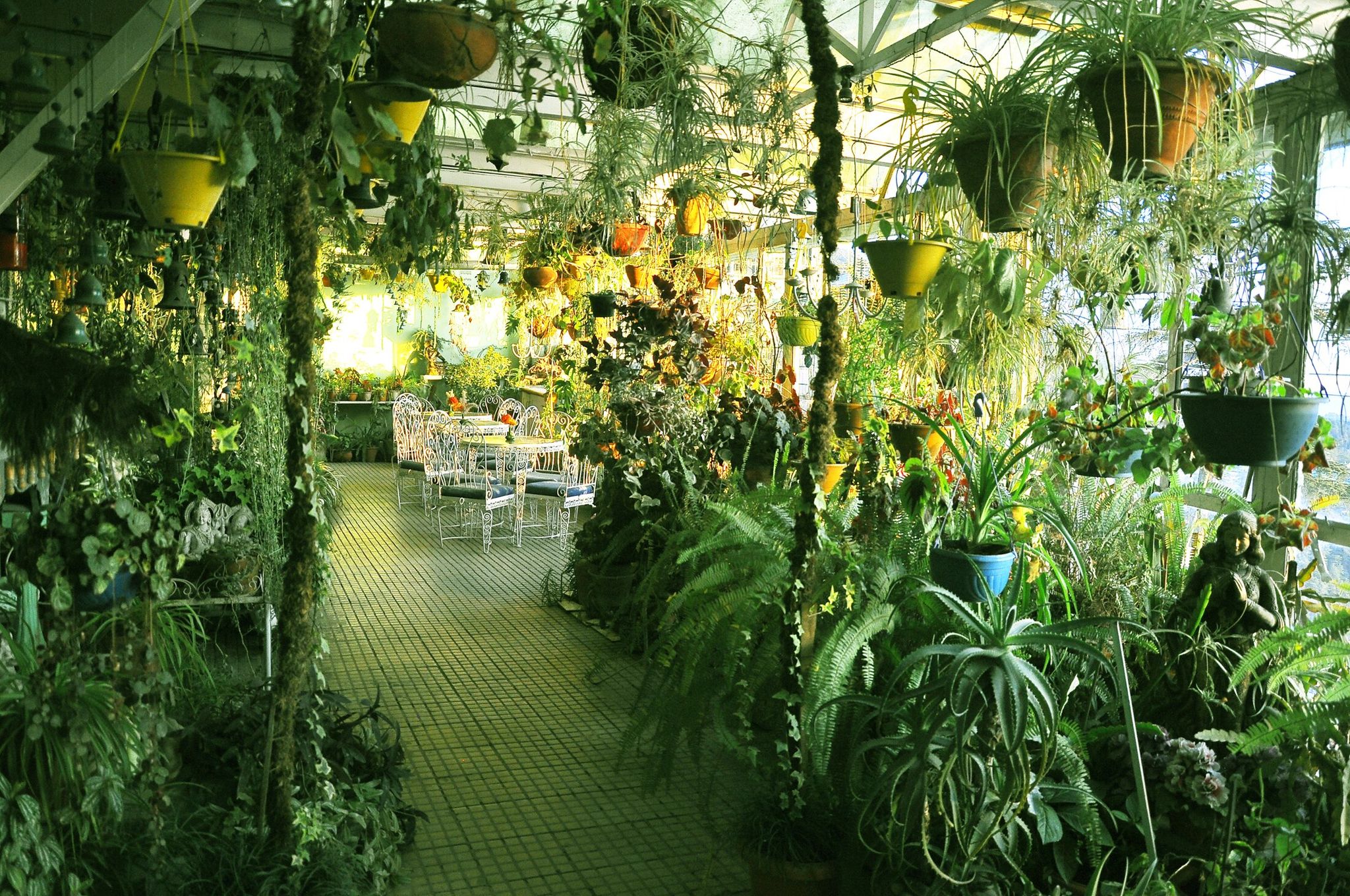 Food & Dining