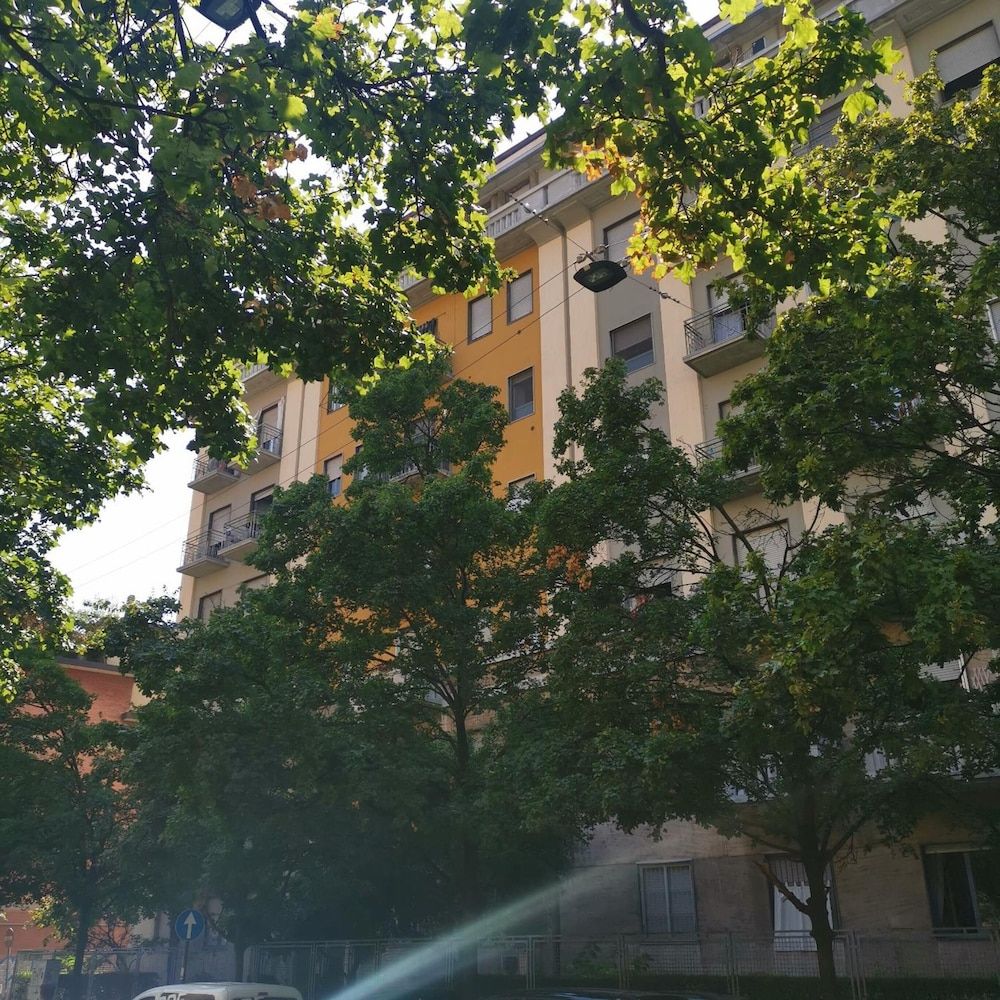 undefined White Ribbon 4