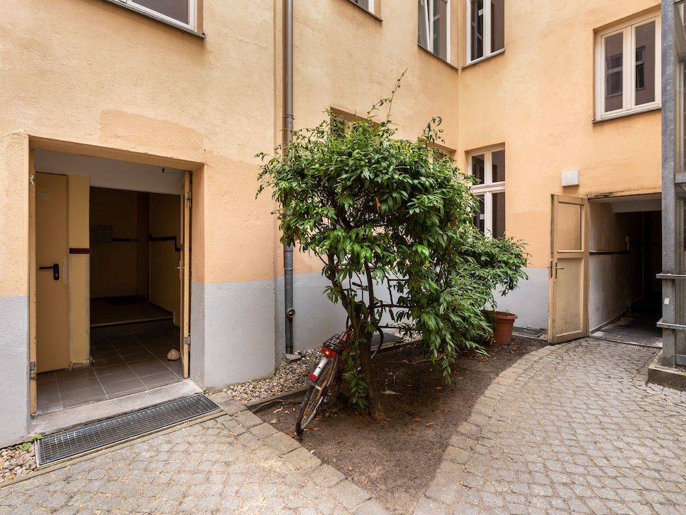 undefined Numa Berlin Kater 6