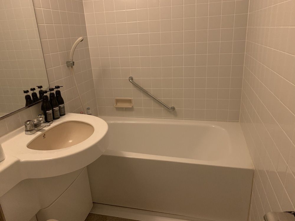 Roppongi Plaza Hotel Moderate Double Room, Smoking 3