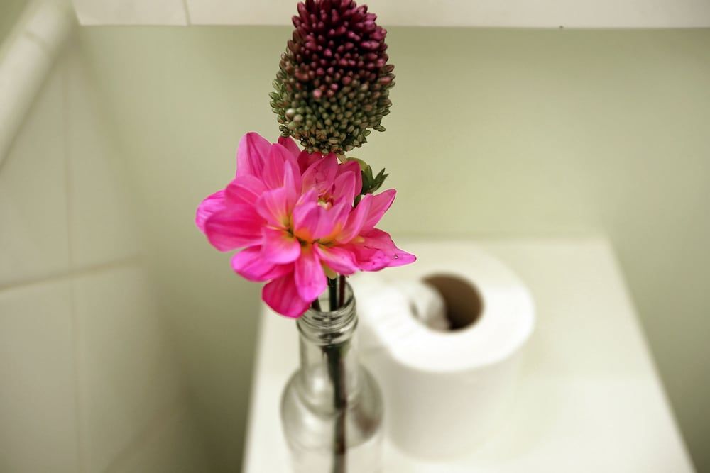 Classic Beautiful Apartment One-Bedroom Apartment 12