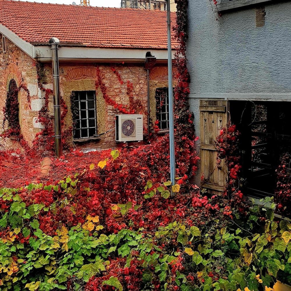 undefined Casa Rosa Suites 8