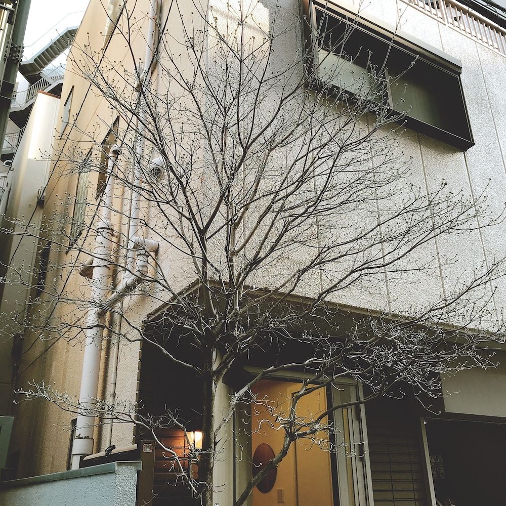 undefined Nestle Tokyo Luxury Otsuka 3