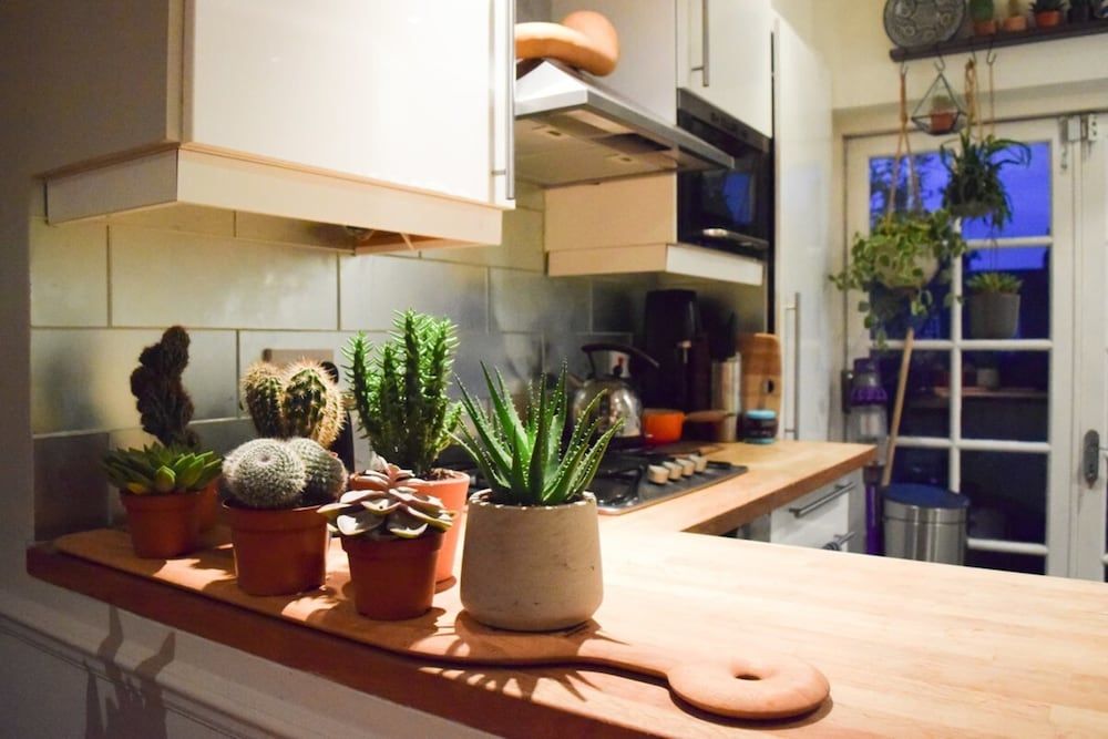 undefined Stylish and Spacious Apartment With Terrace 5