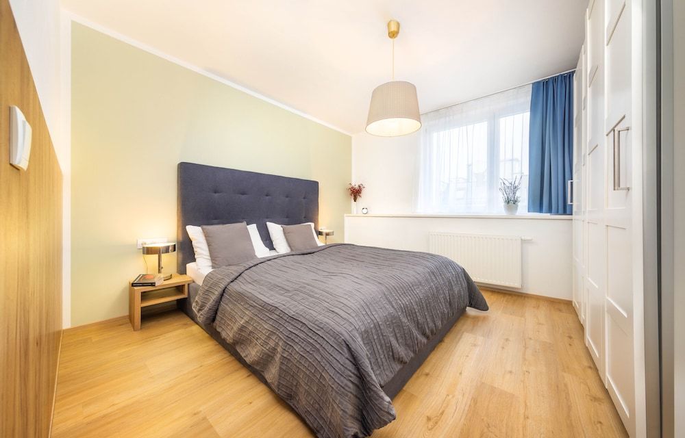 undefined Jimmy's Apartments Dandelion 5