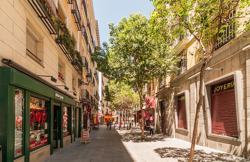 undefined Boutique Apartments in the Heart of Madrid 7