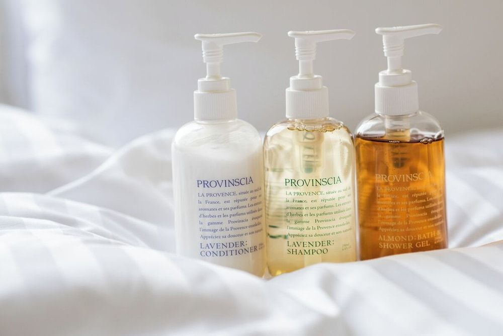 Hotel Vista Tokyo Tsukiji Moderate Small Double Room 3