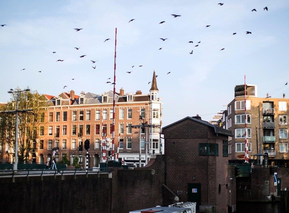 undefined SWEETS - Kattenslootbrug 6