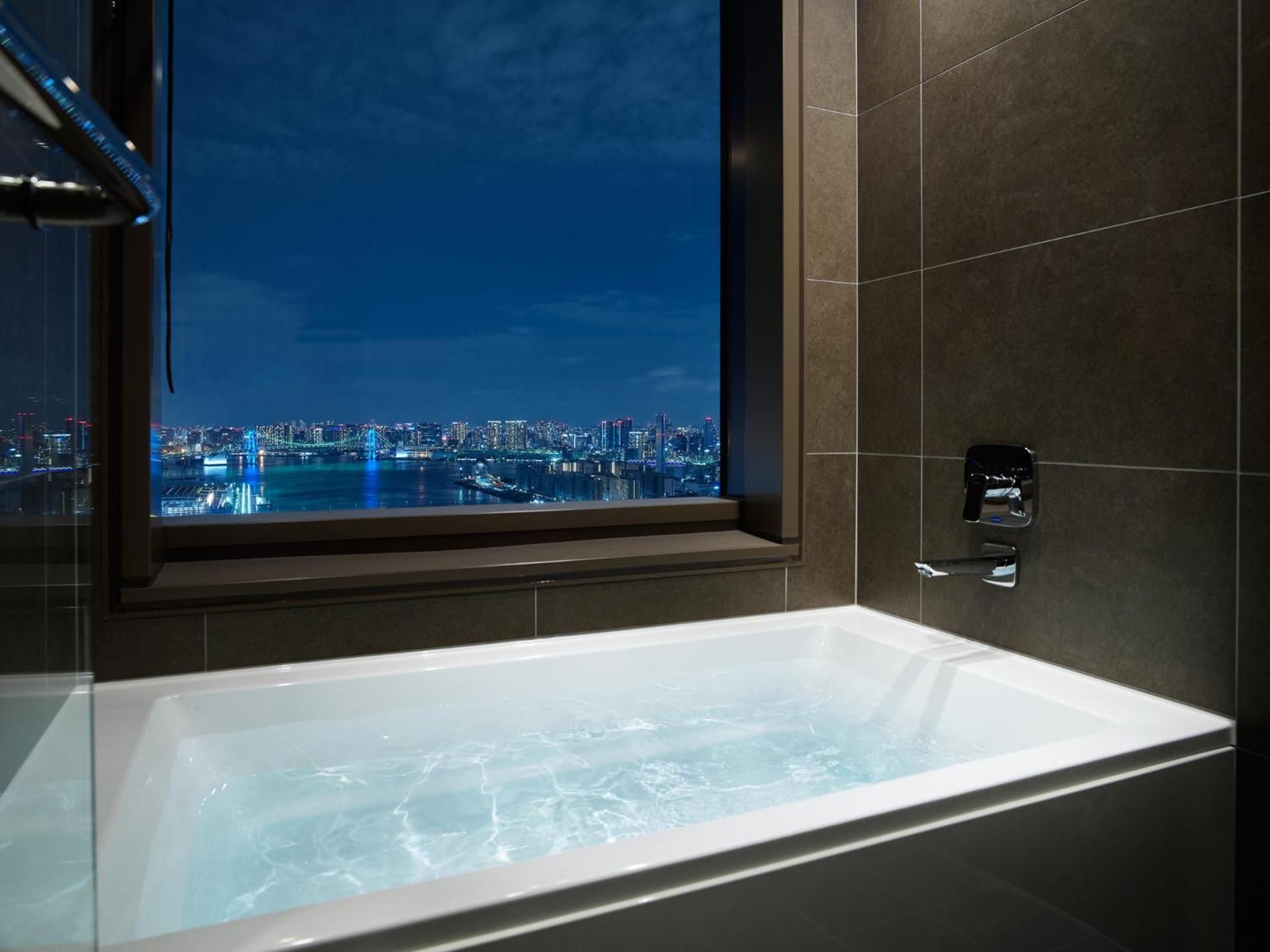 Superior - 1 King Bed with Bath View