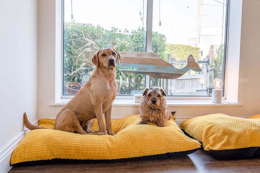 undefined Sea View Cottage Southwold 7