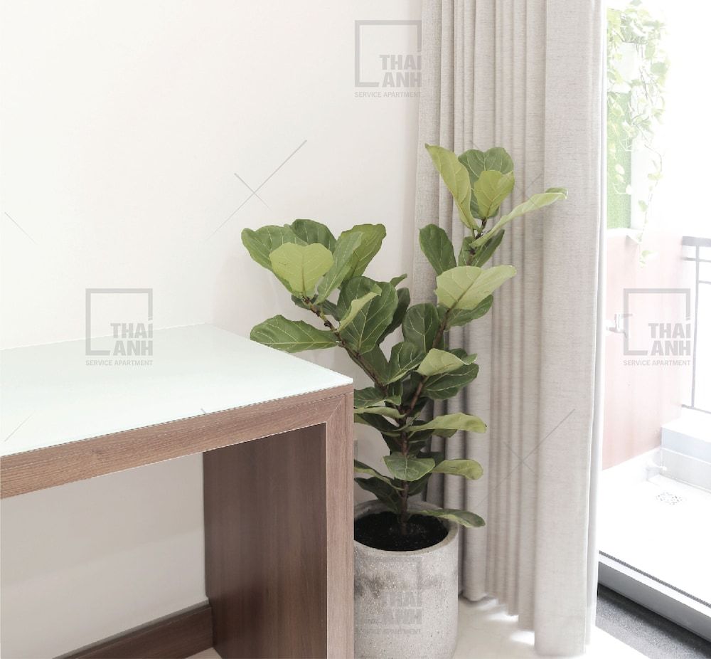 Thai Anh House - The Pink Church Family Apartment 3