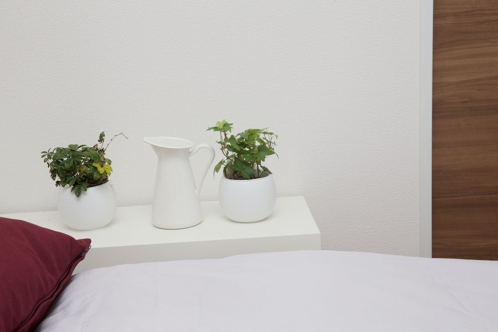 Nishi-Sugamo Guest House. 2min to Nishi-Sugamo Sta. 13min to Ikebukuro Sta. Private Vacation Home 34