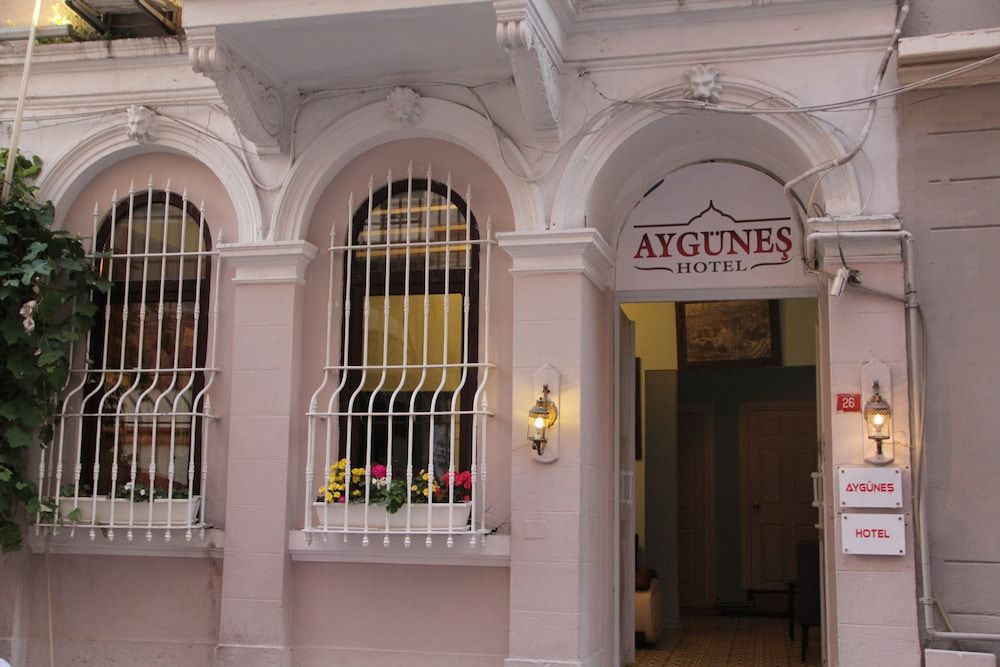 undefined Aygunes Hotel 6