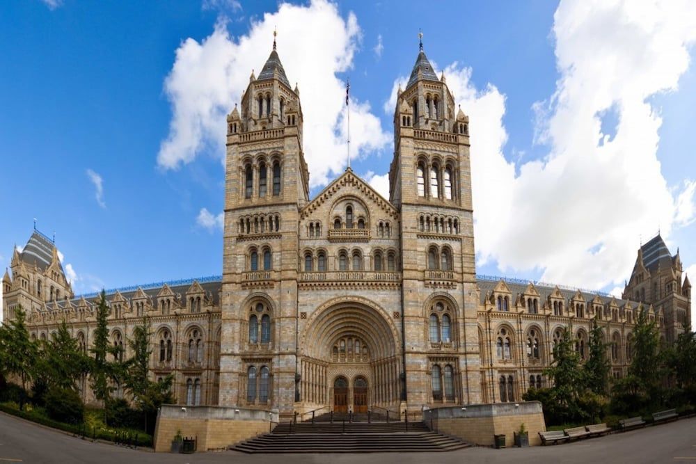 undefined Elegant 3 Bedroom Home Located in South Kensington 4