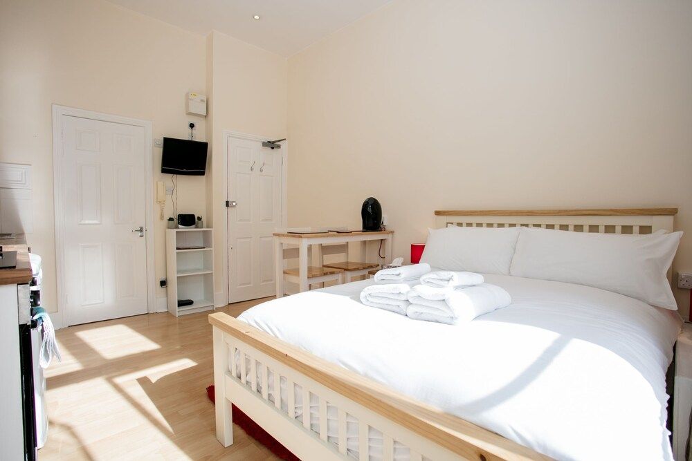 undefined Gorgeous Studio Apartment Near Pimlico 5