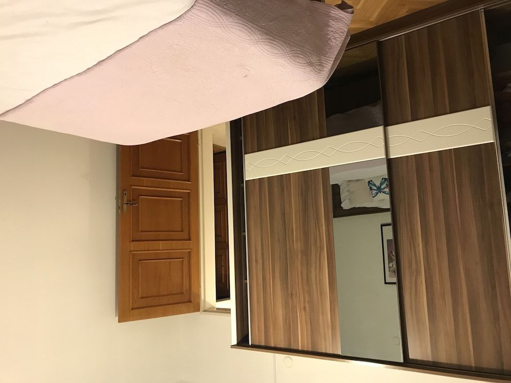 undefined Orange Garden 4