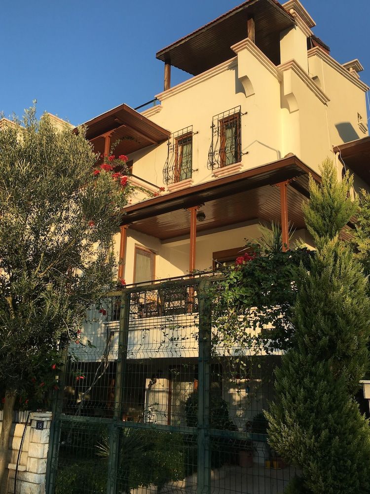 undefined Orange Garden 2