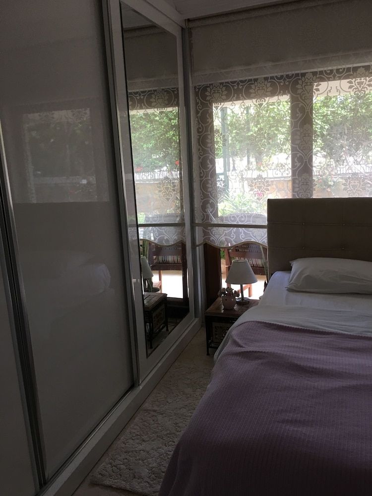 undefined Orange Garden 6